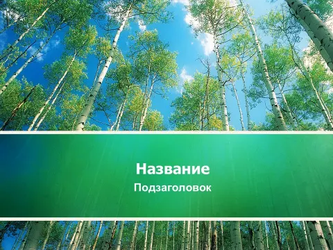 Слайд 1 шаблона презентации «Шаблон №2272»