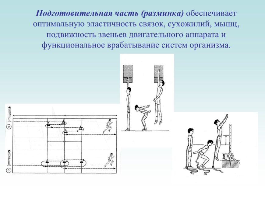 Шаблон №1168