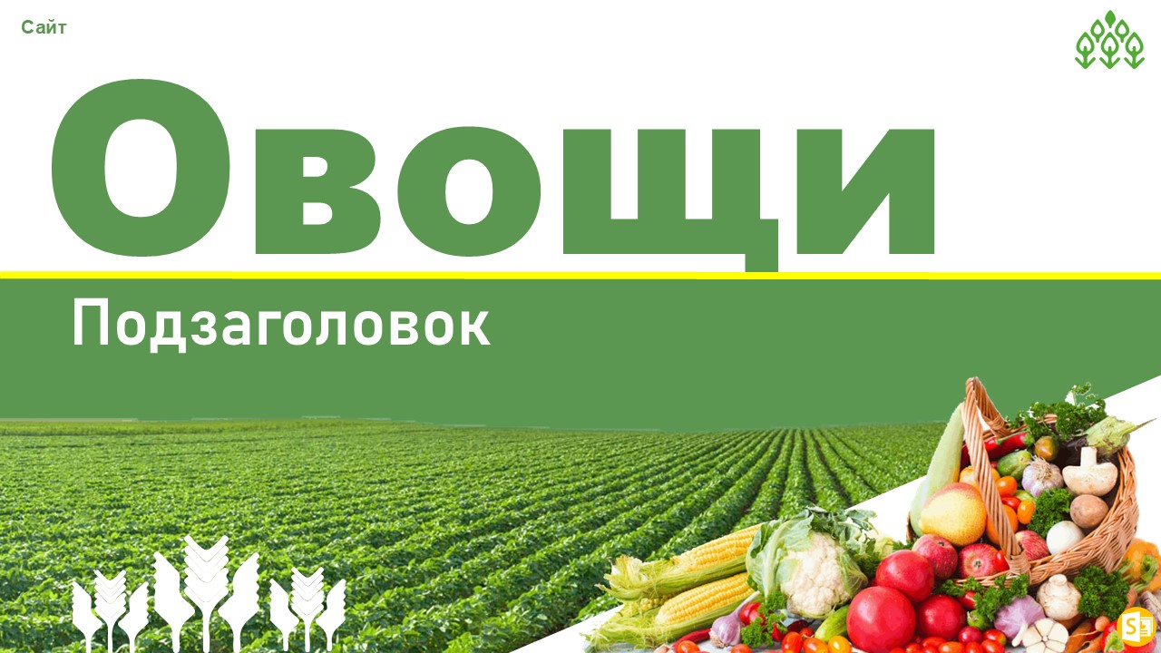 Слайд 1 шаблона презентации «Шаблон №2057»