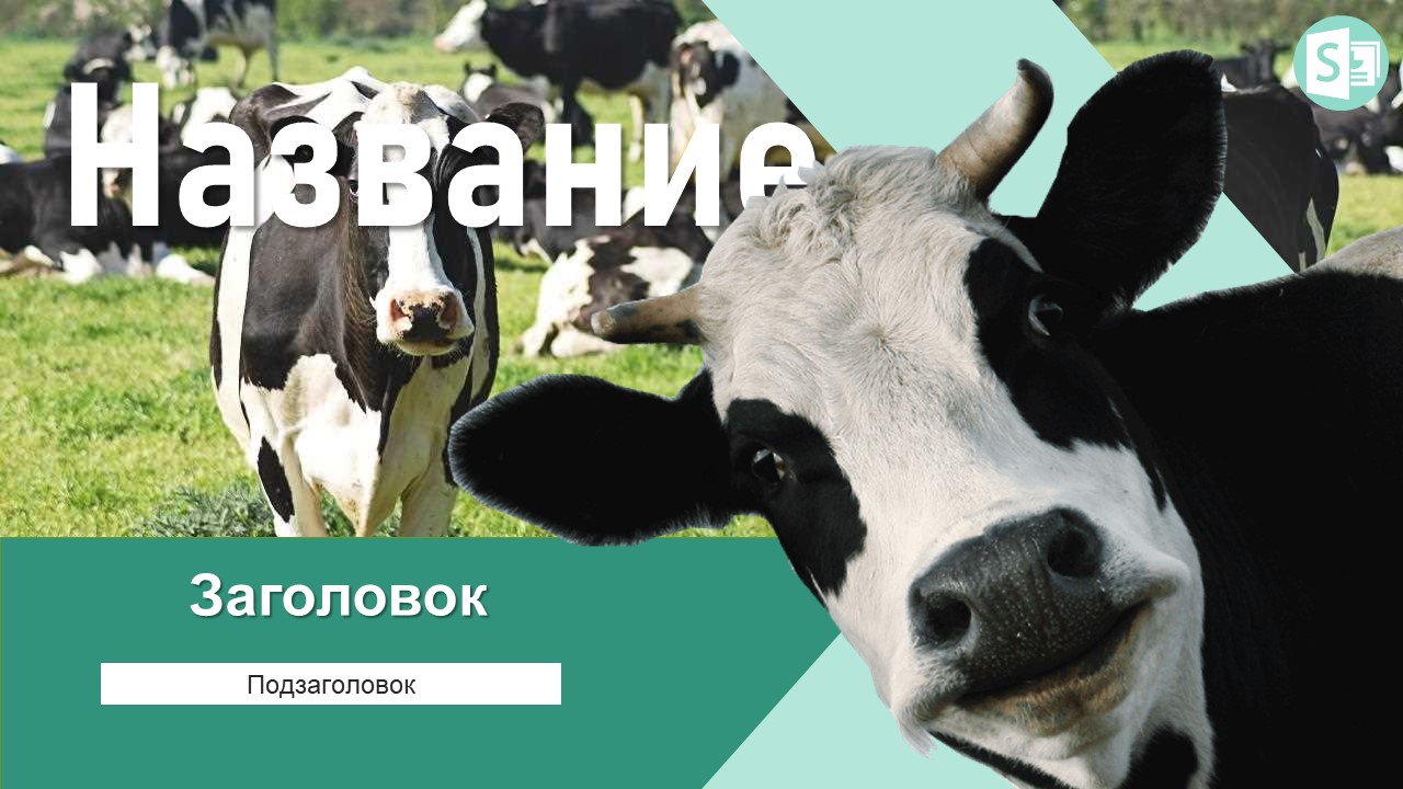 Слайд 1 шаблона презентации «Шаблон №2311»