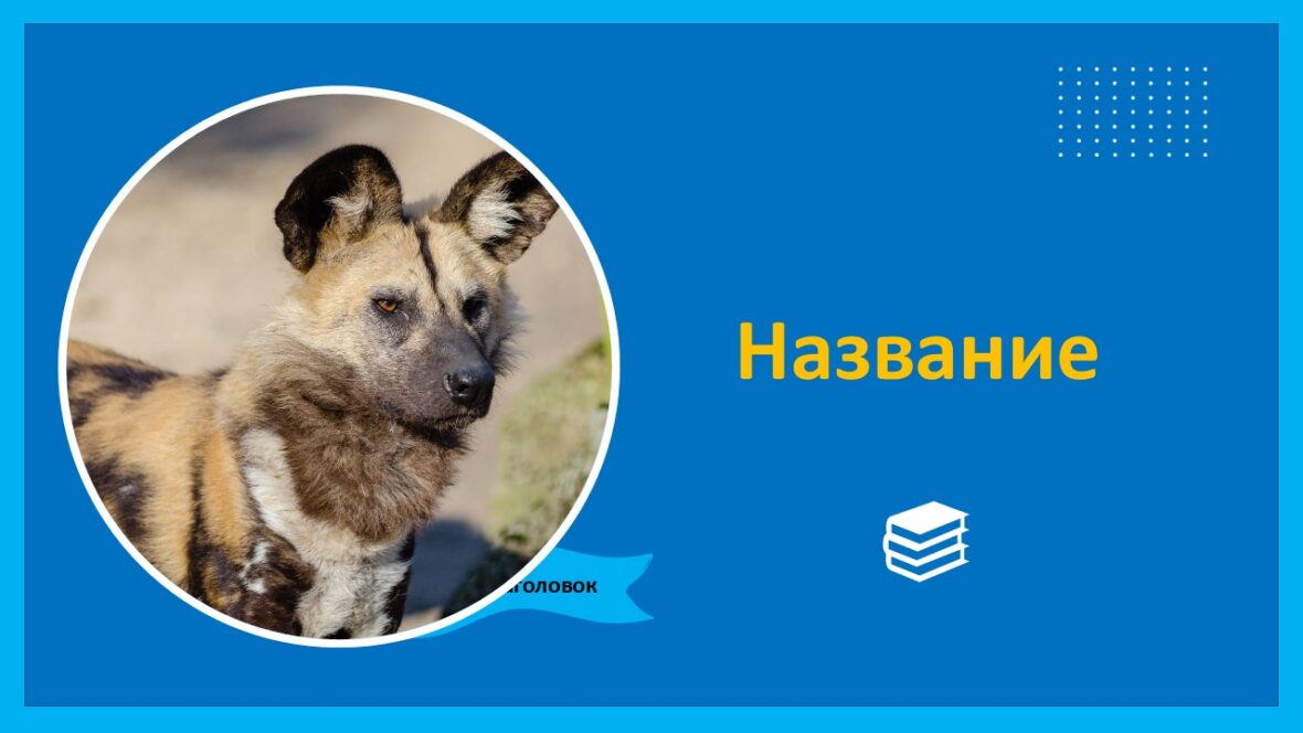 Шаблон №2360