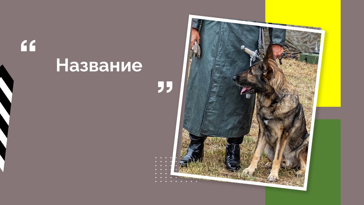 Слайд 1 шаблона презентации «Шаблон №2367»