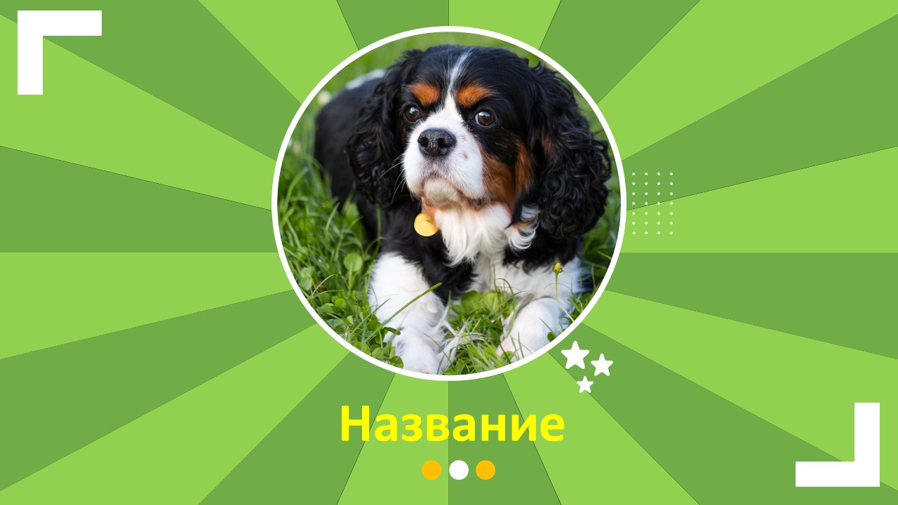 Слайд 1 шаблона презентации «Шаблон №2368»