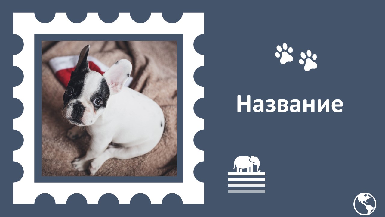 Слайд 1 шаблона презентации «Шаблон №2369»
