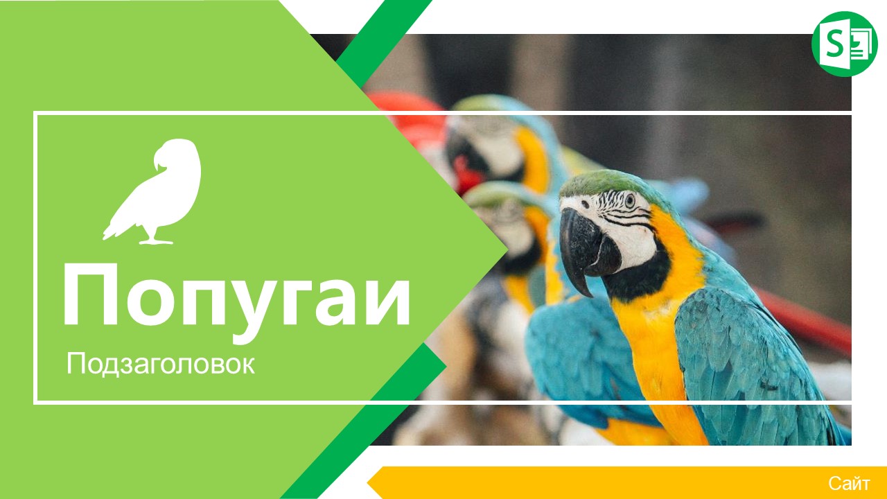 Слайд 1 шаблона презентации «Шаблон №2241»