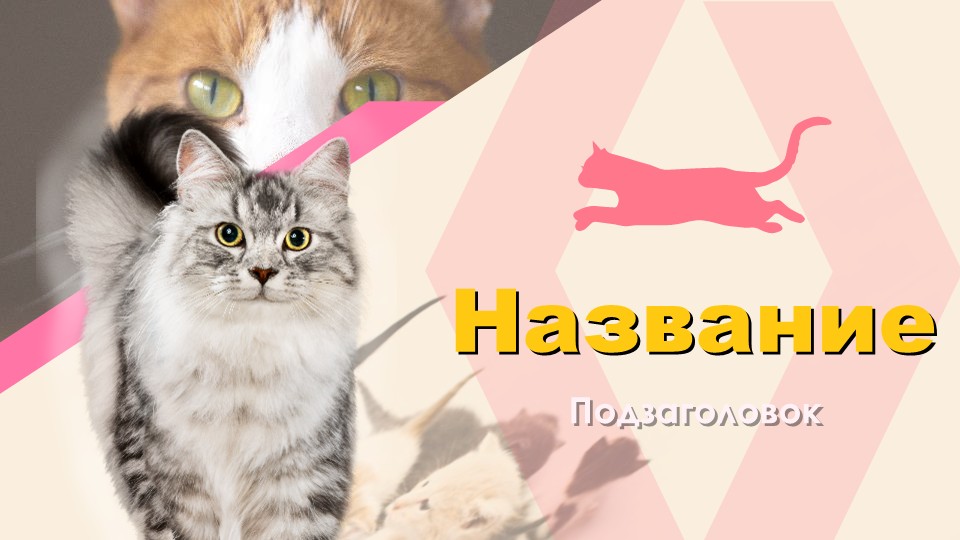 Шаблон №2724
