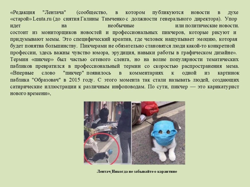 Шаблон №2822
