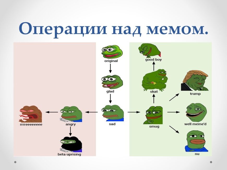 Шаблон №2824