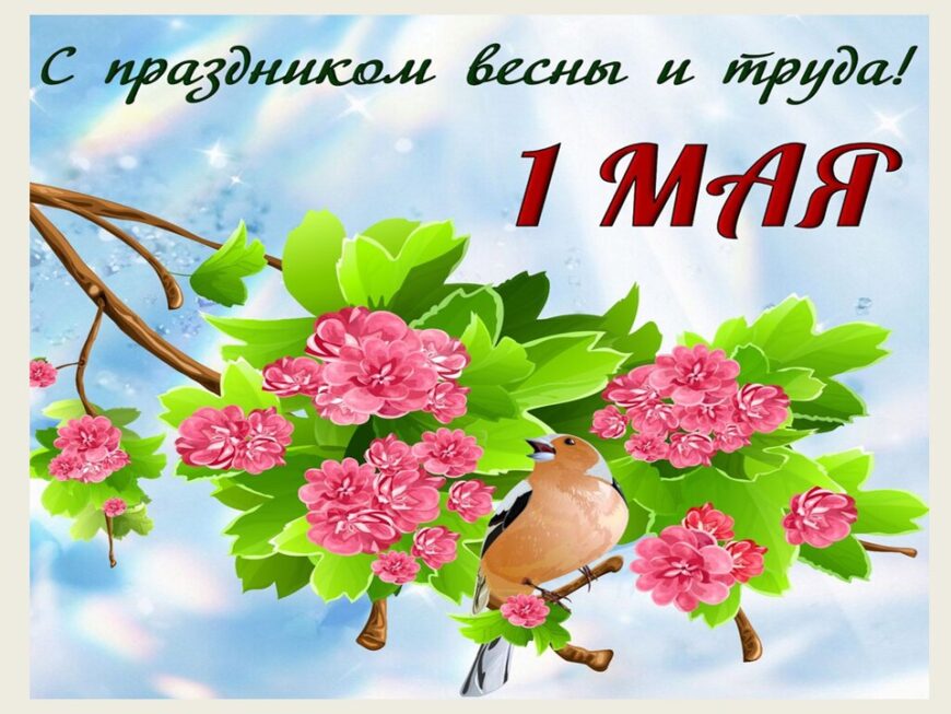 Шаблон №3022