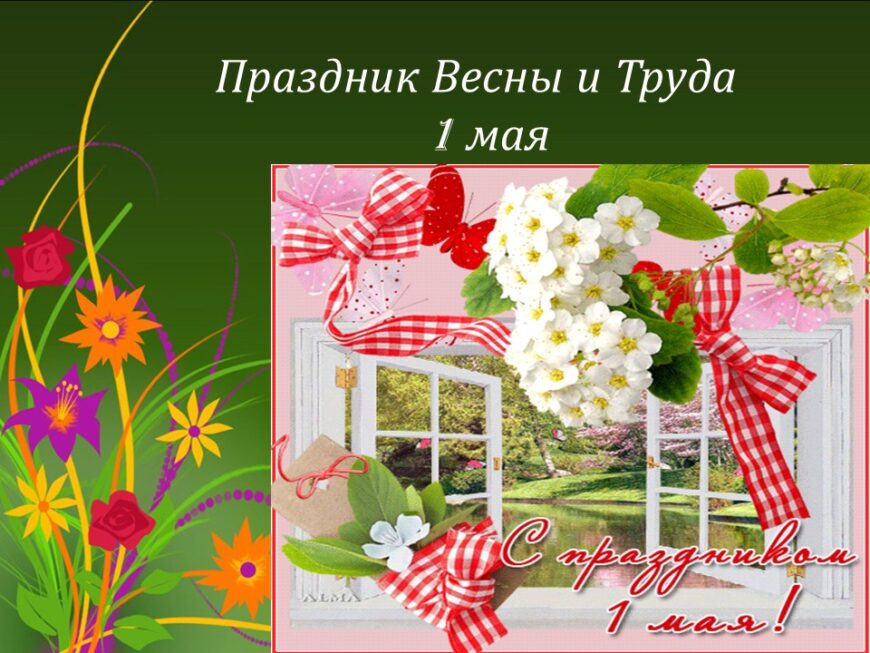 Шаблон №3024