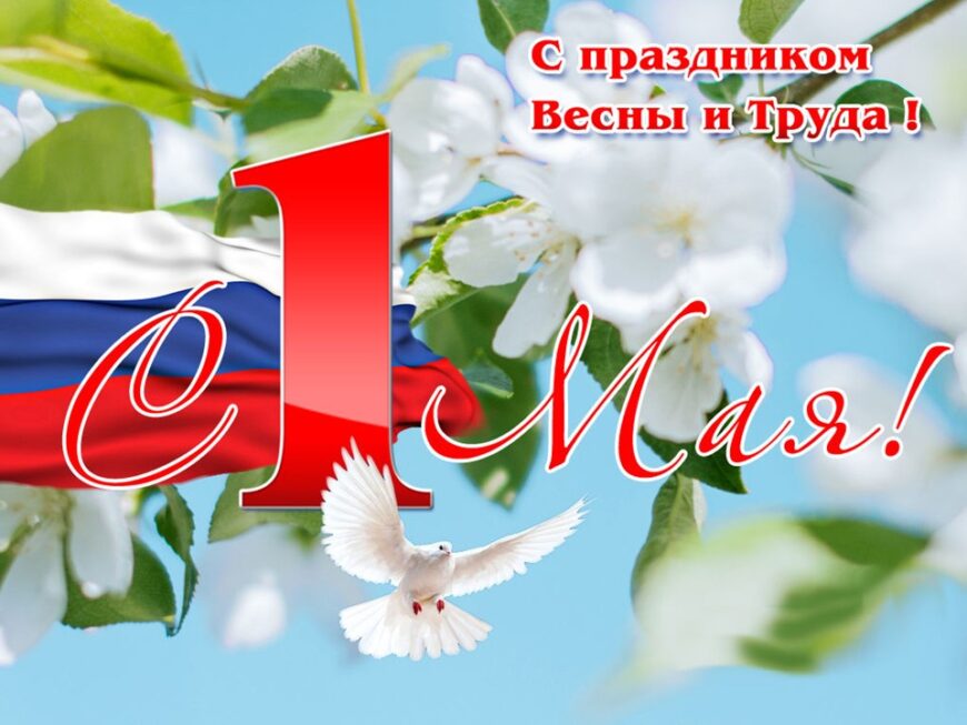 Шаблон №3028