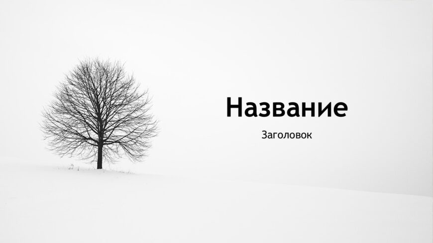 Шаблон №3029