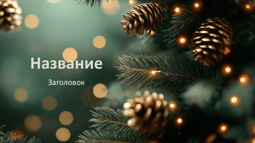 Шаблон №3031