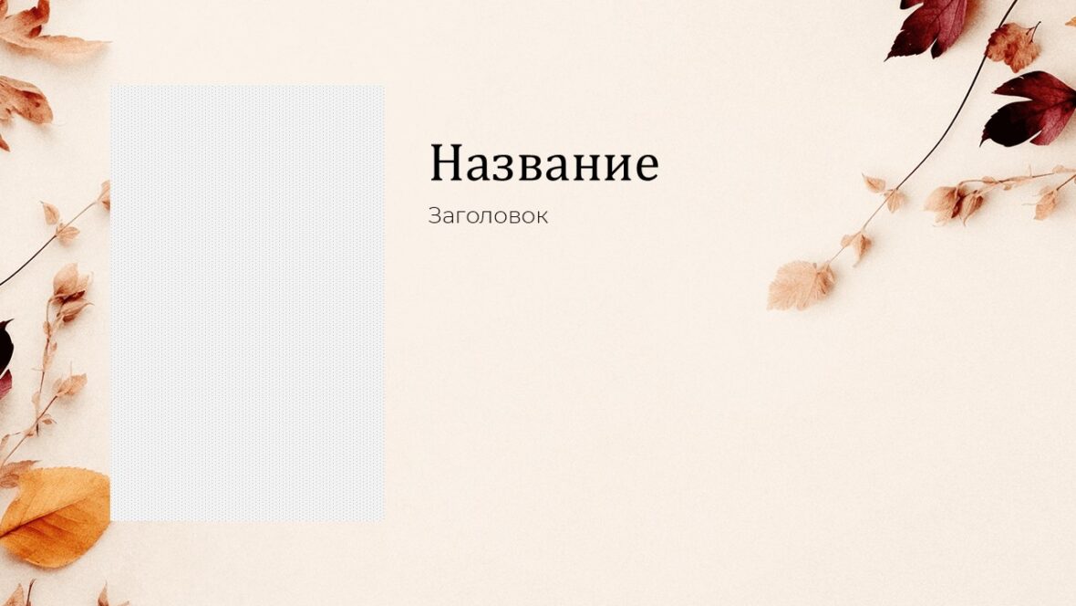 Шаблон №3049