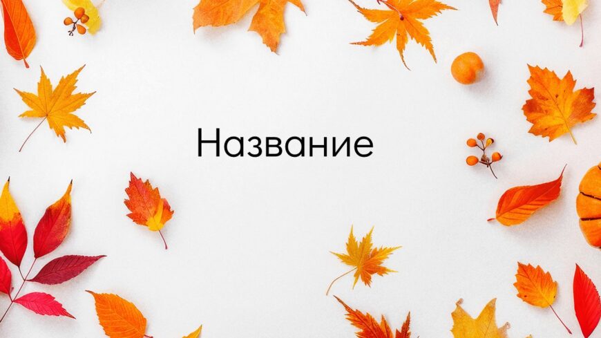 Шаблон №3051