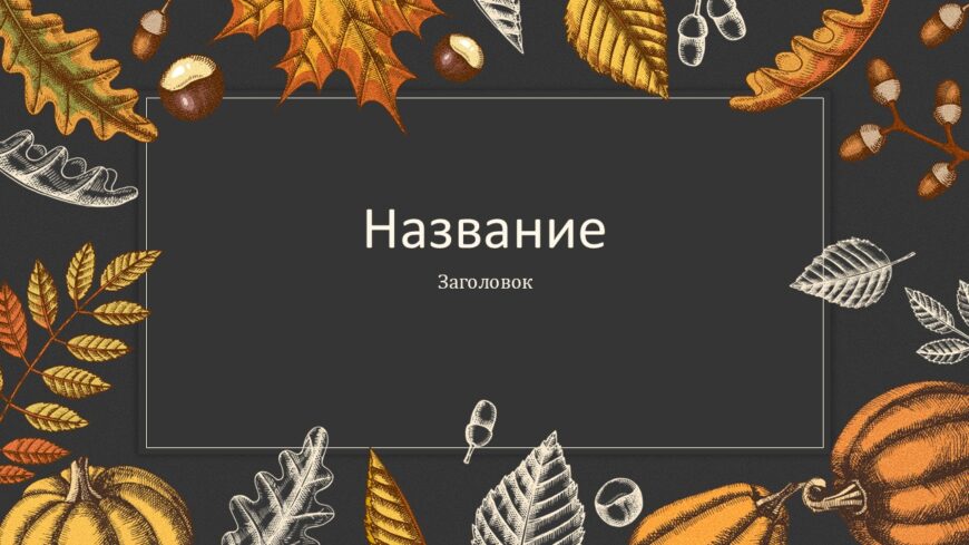 Шаблон №3055