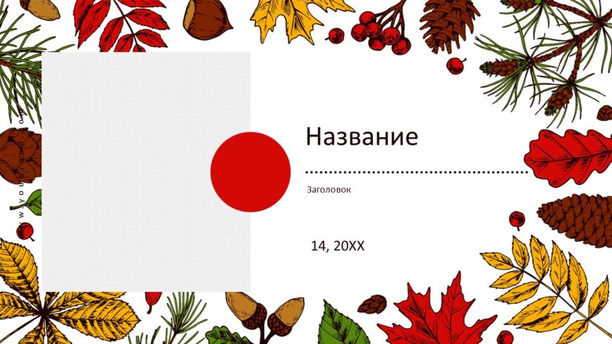 Шаблон №3066