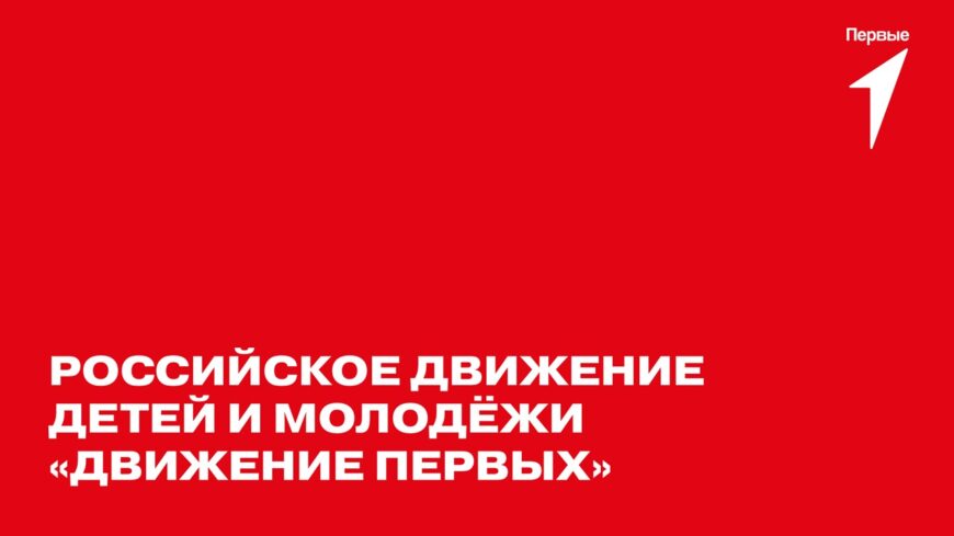 Шаблон №3163