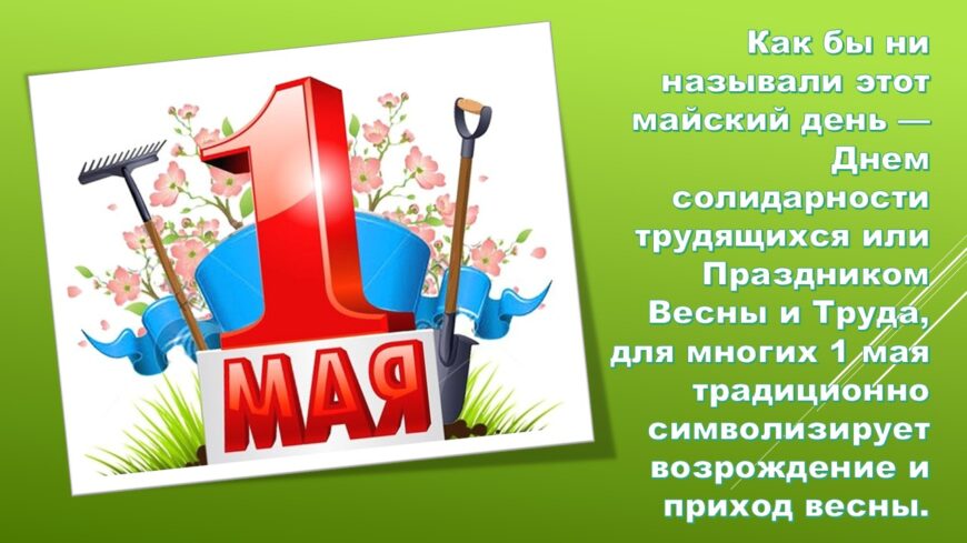 Шаблон №3013