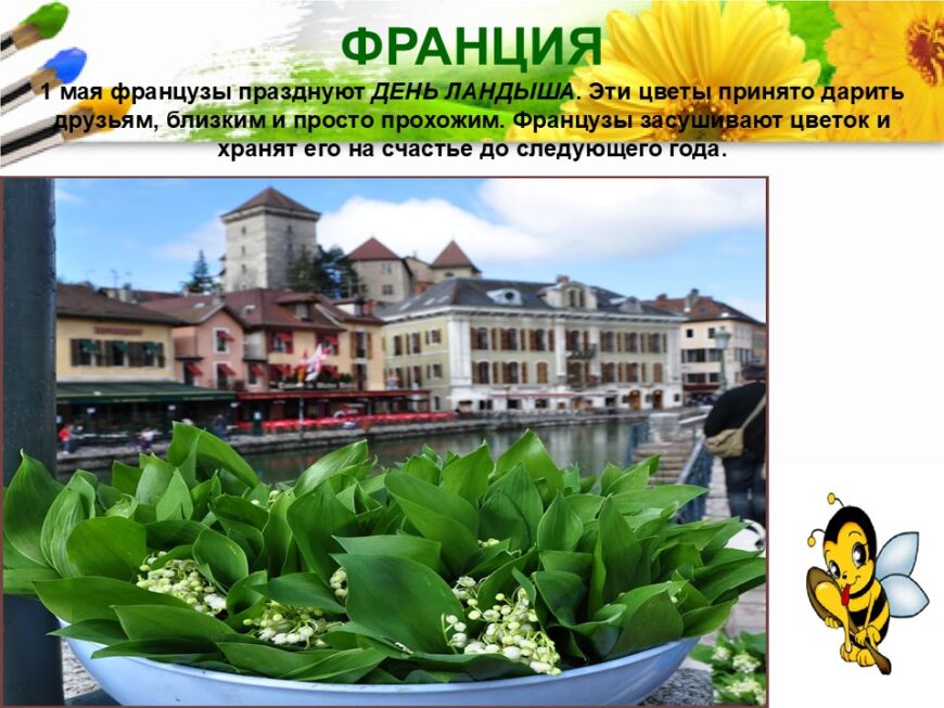 Шаблон №3023