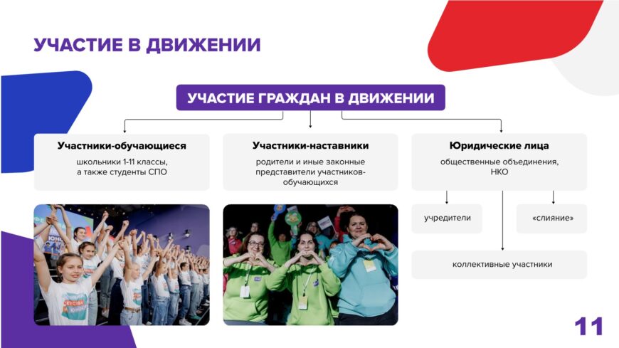 Шаблон №3162