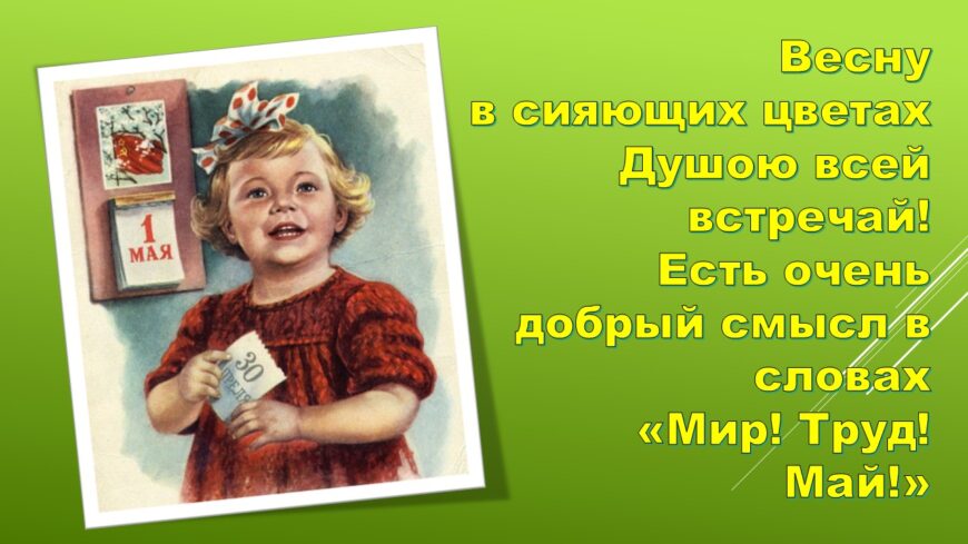Шаблон №3013