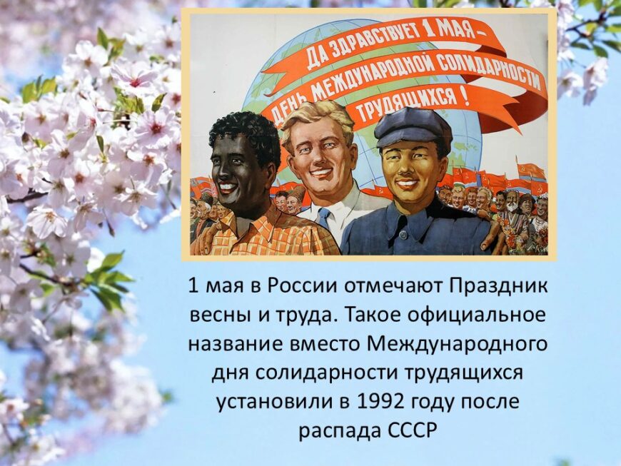 Шаблон №3025