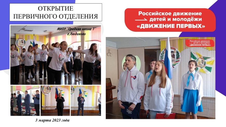 Шаблон №3164