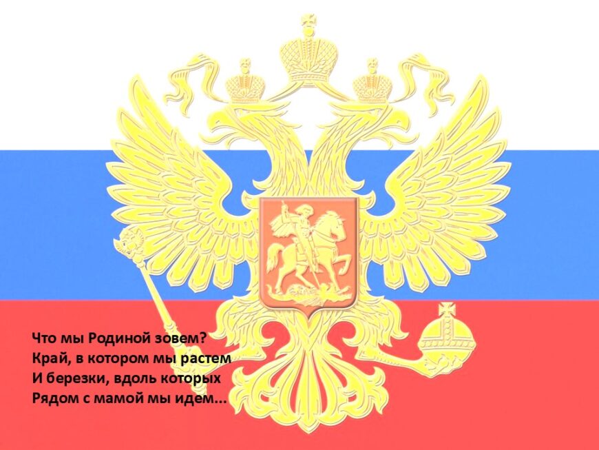 Шаблон №3181