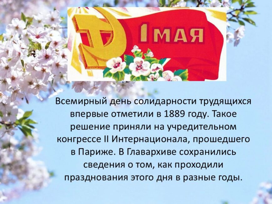 Шаблон №3025