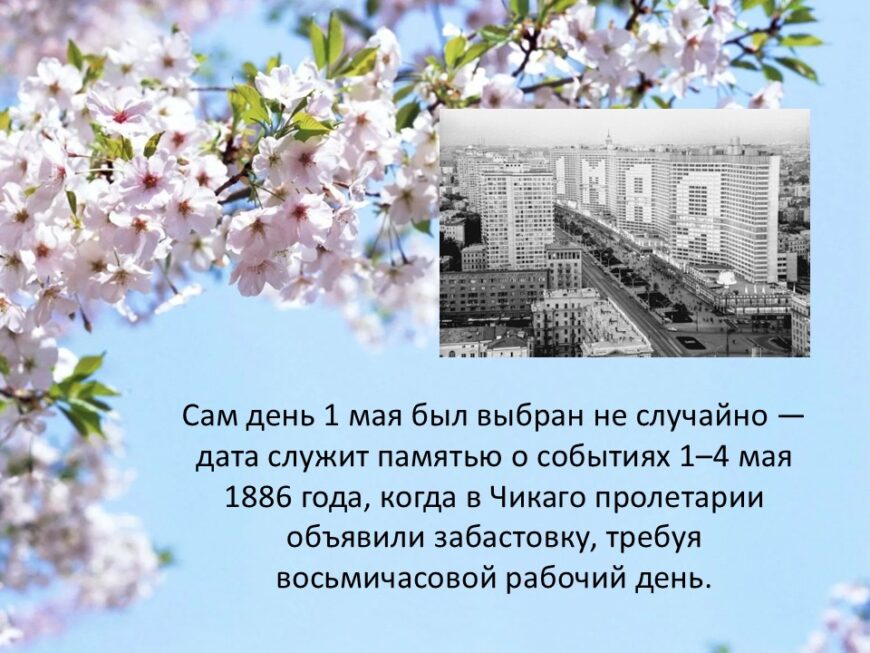 Шаблон №3025