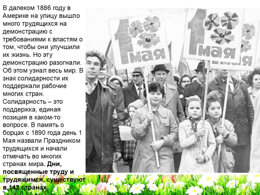 Шаблон №3028