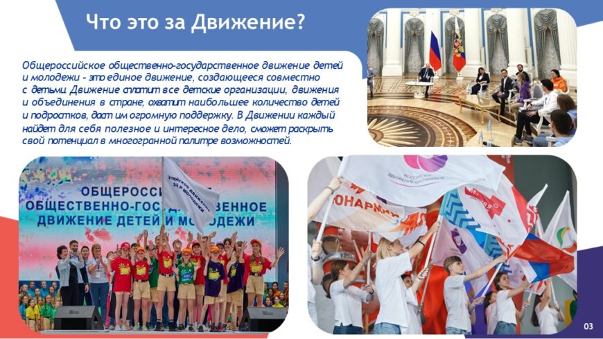 Шаблон №3161