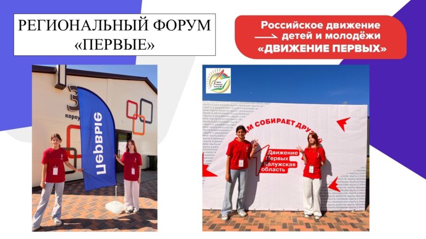 Шаблон №3164