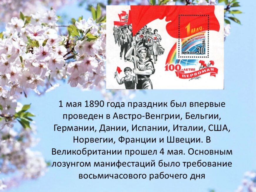 Шаблон №3025