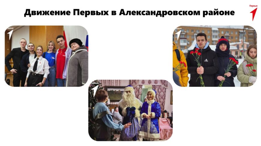 Шаблон №3163