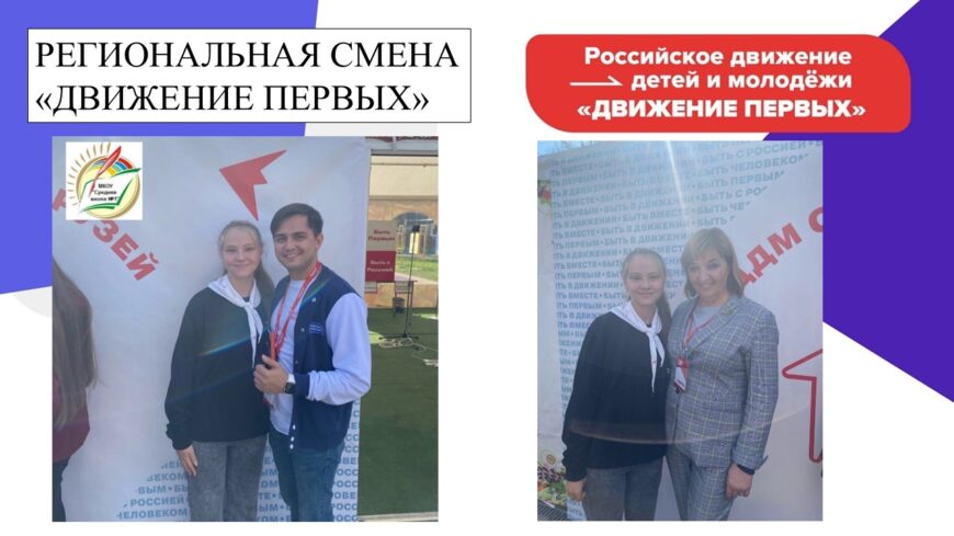 Шаблон №3164