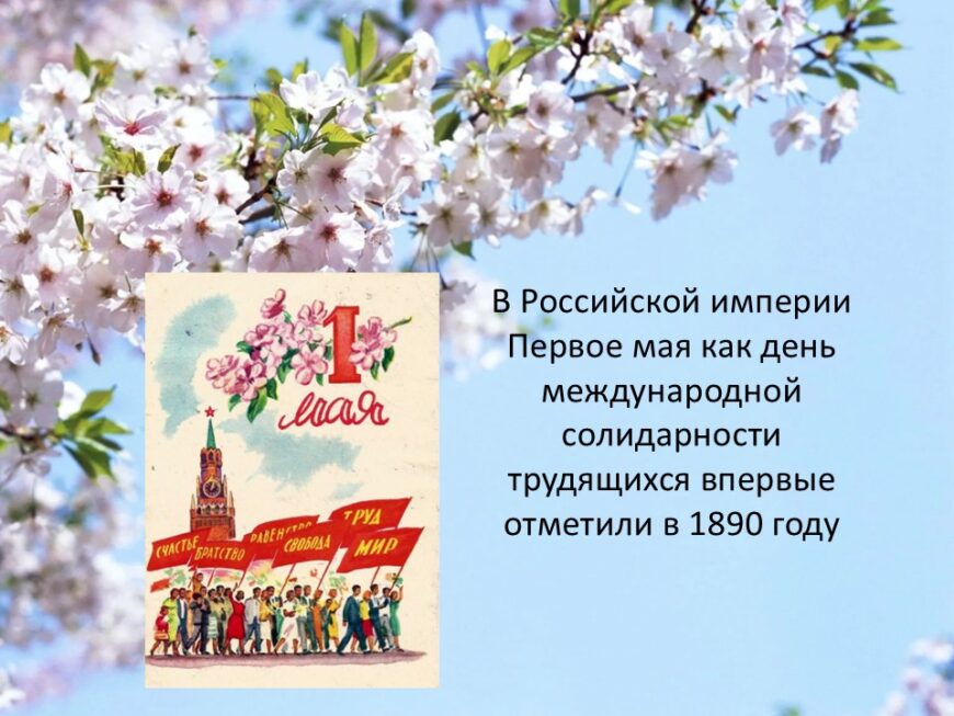 Шаблон №3025