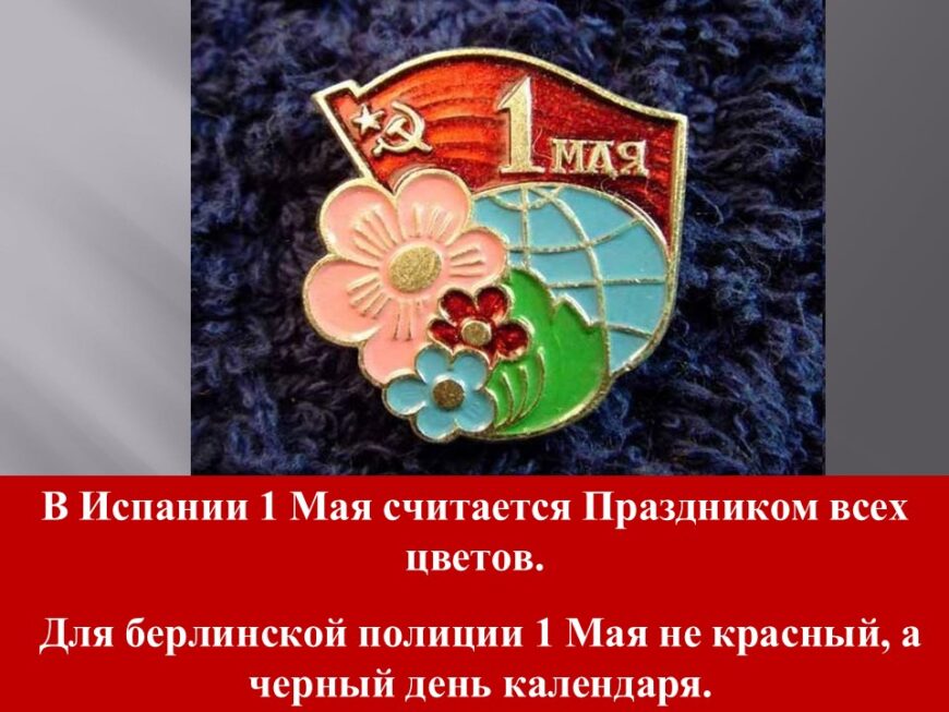 Шаблон №3027