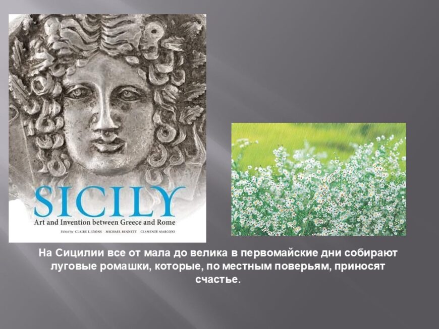 Шаблон №3027