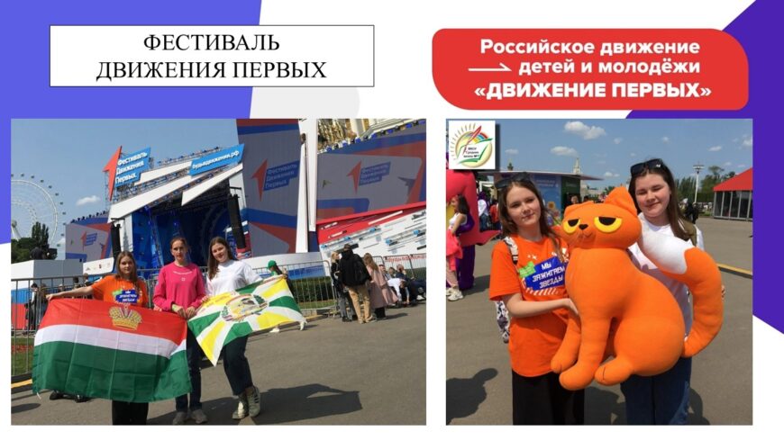 Шаблон №3164