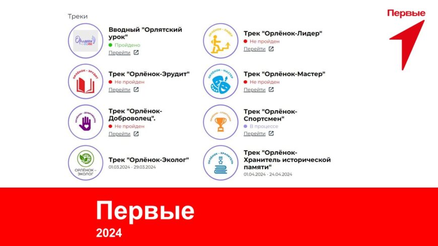 Шаблон №3169