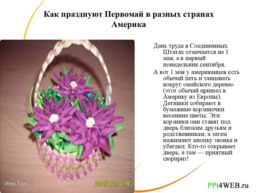 Шаблон №3024