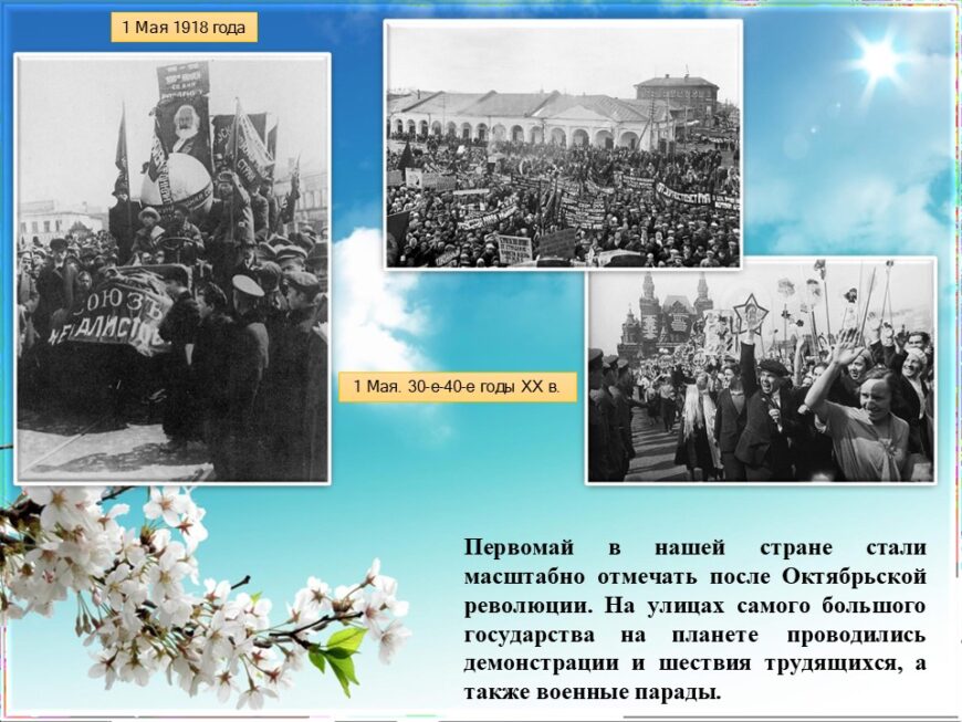 Шаблон №3026